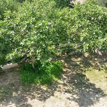 Comfortable In Makarska, 80 M², Sea View And Terrace * Makarská